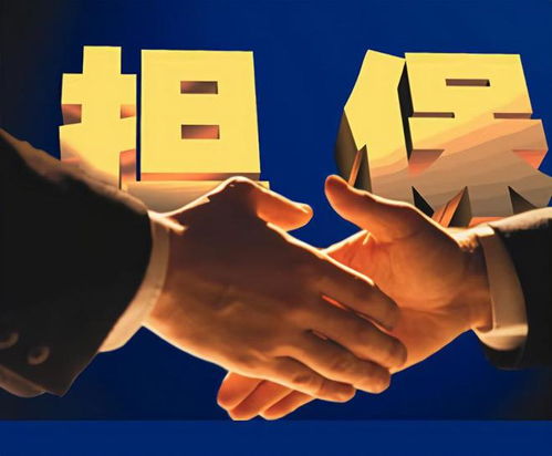 泰安弘澤擔保 勇做服務實體經濟主力軍，破解小微三農融資難題